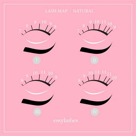 Natural Lash Template