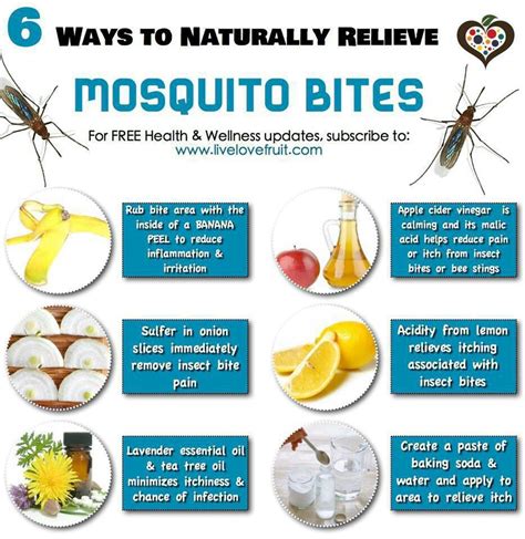 Natural Ways to Soothe Insect Bites