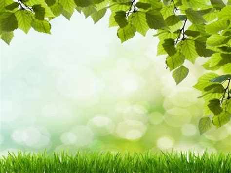 Nature background templates