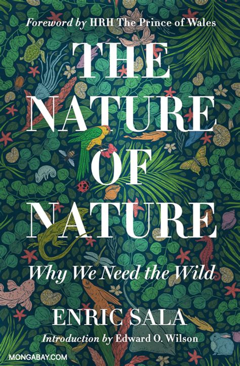 Nature-inspired book cover template