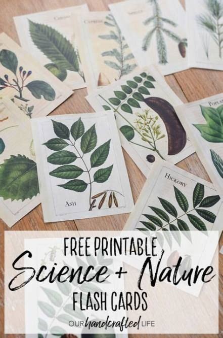 Nature-inspired printables