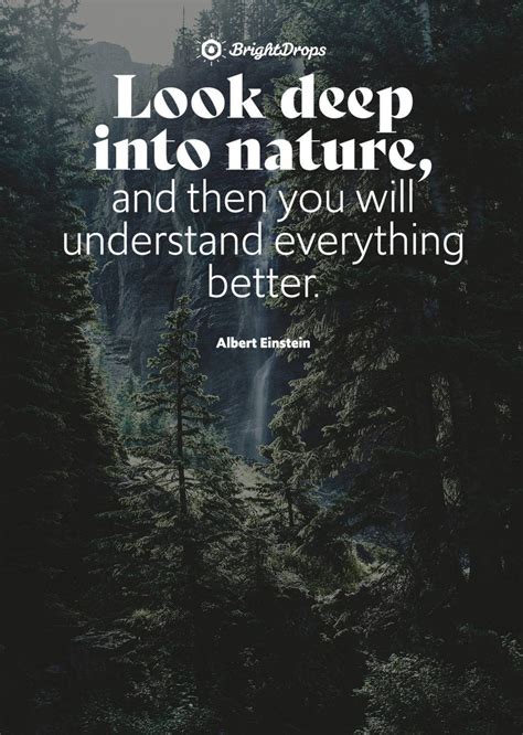 Nature-Inspired Quote Template