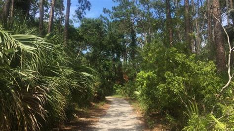 A nature trail on Hilton Head Island