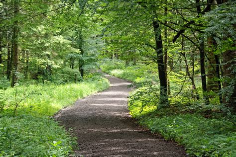 A hiking trail in Nowhere, Everybody Knows