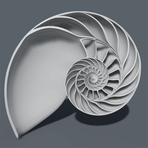 3D Nautilus Tattoo