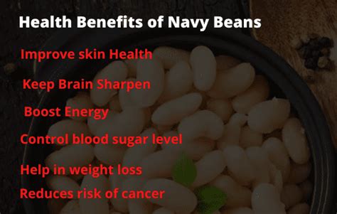 Navy Bean Health Benefits