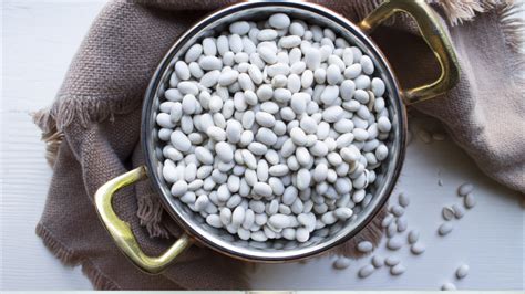 Navy Bean Nutrition Facts