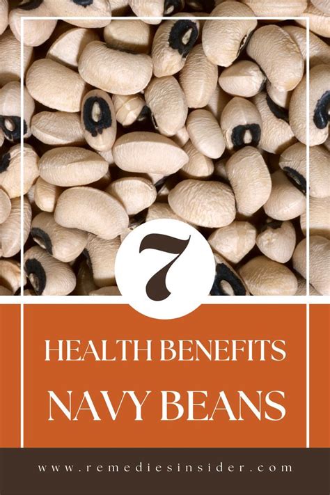 Navy Beans and Digestive Health