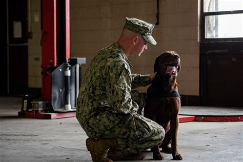 Navy MWD Handler