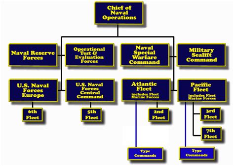 Navy Operational Structure