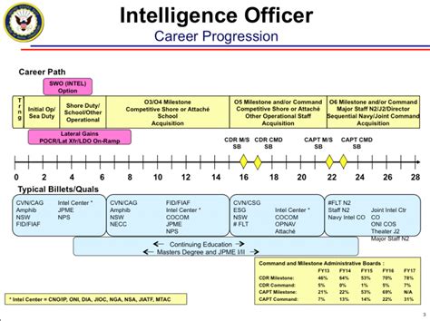 Navy Reserve Officer Career Path