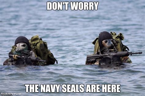 Navy Seal Meme