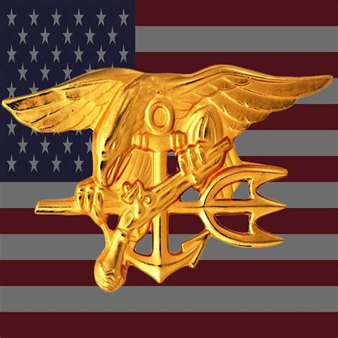 Navy SEAL Trident Image 5