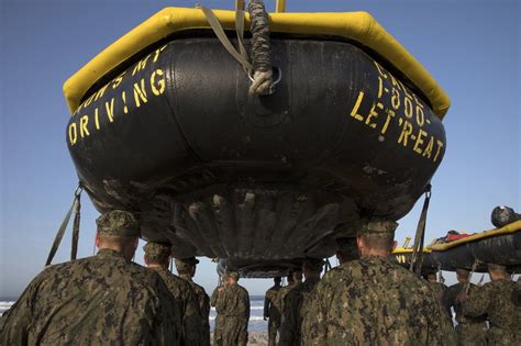 Navy SEALs in training