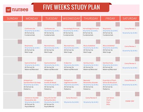 NCLEX Study Plan Template Printable