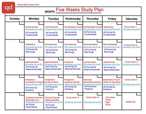 NCLEX Study Plan Template Sample