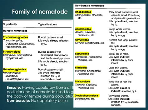 Nematode classification