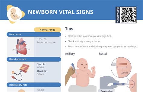 Neonatal Vital Signs Chart