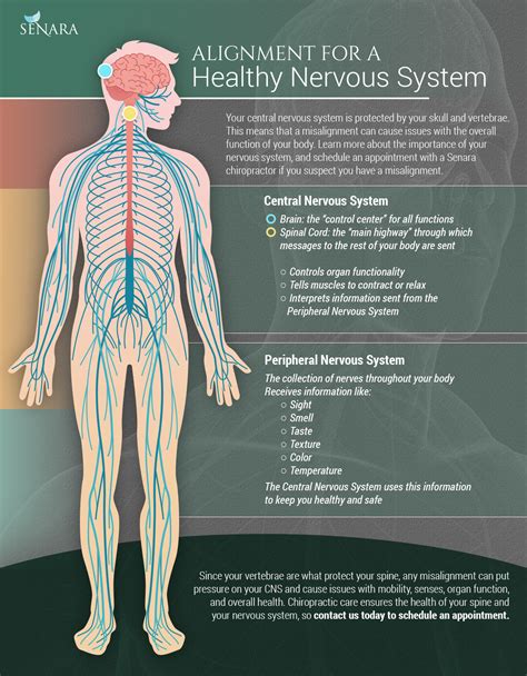 Nerve Health Tips