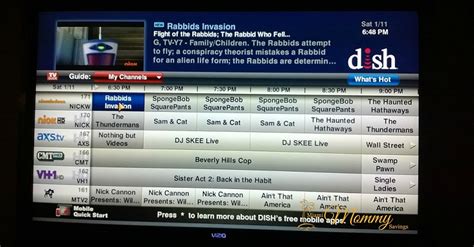 Netflix on Dish Network Channel Guide