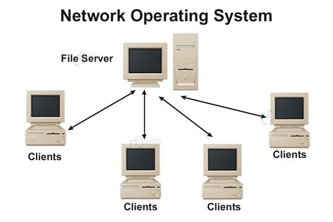 Network Operating Systems and Their Applications