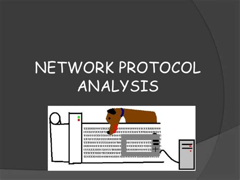 Network Protocols Analysis