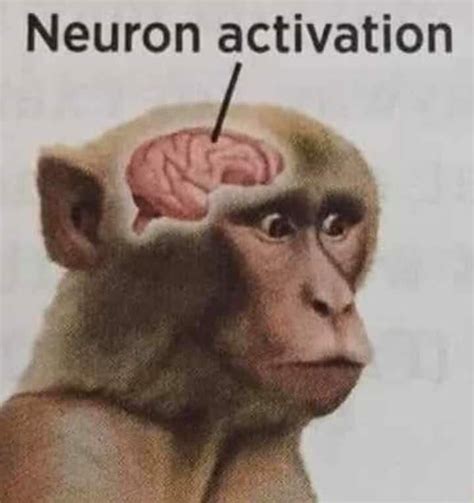 Neuron Activation Meme Community Example