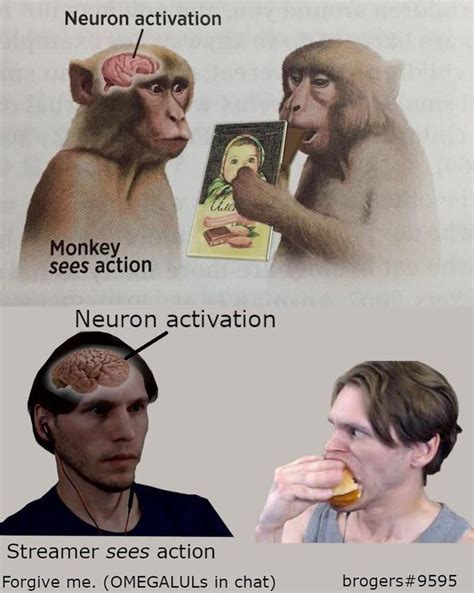 Neuron Activation Meme Template Example