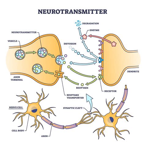 Illustration of neurotransmitters