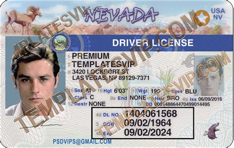 Nevada Driver License Template Printable