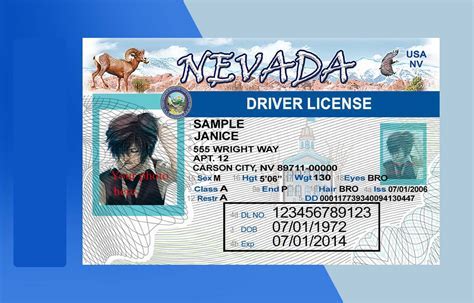 Nevada Driver's License Template