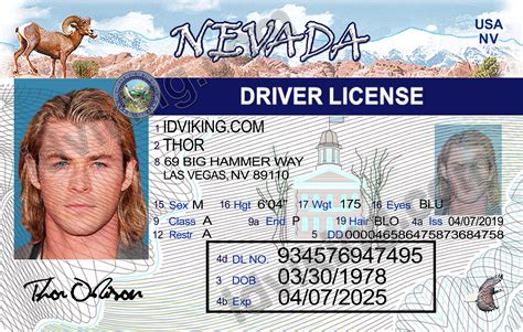 Nevada Driver's License Template Sample