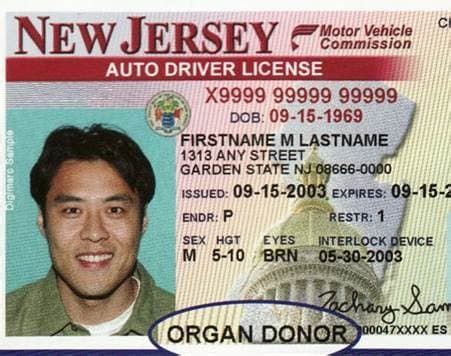 New Jersey Driver's License Organ Donor