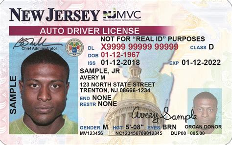 New Jersey Driver's License Standard Issue