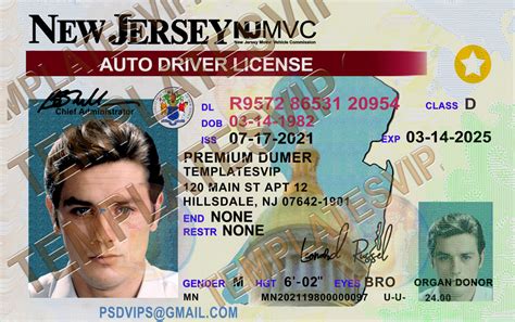 New Jersey Driver's License Template