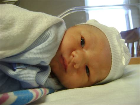 Newborn baby surrounded by holly