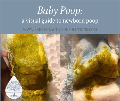 Newborn Poop