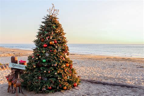 Newport Beach Christmas tree