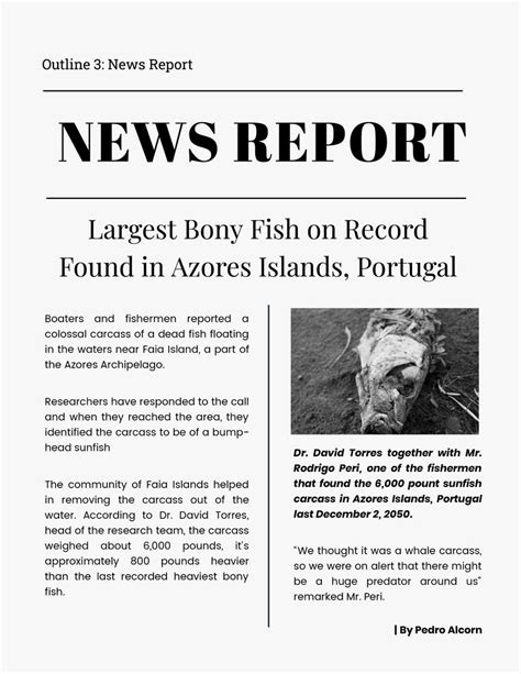 News Report Template Example