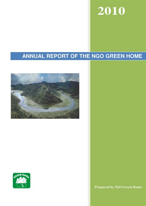 NGO Annual Report Template Example 1