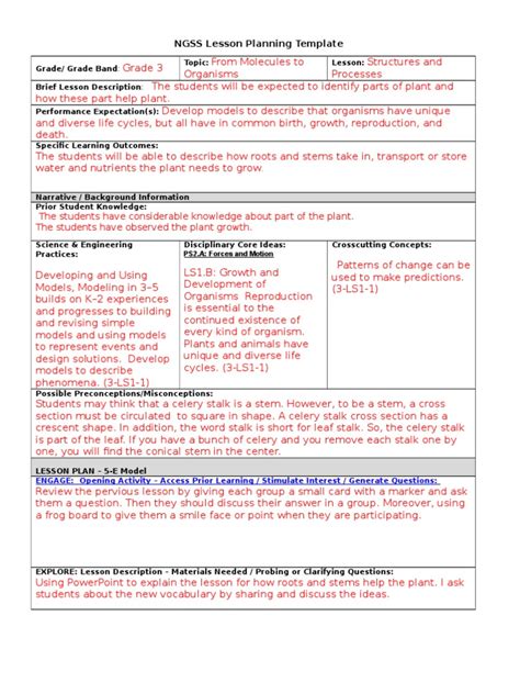 NGSS Lesson Plan Example