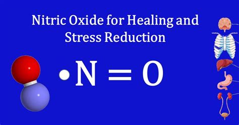 Nitric Oxide Meditation