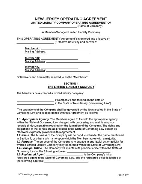 NJ LLC Membership Agreement