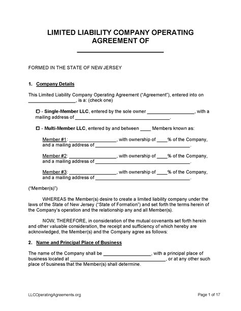 NJ LLC Operating Agreement Sample