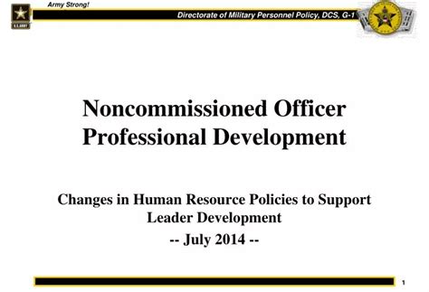 NCO Development