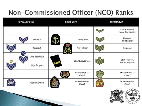 Non-Commissioned Officer Ranks Structure