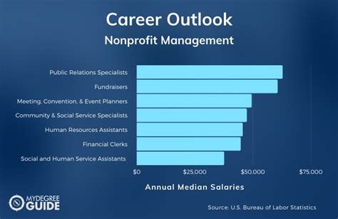 Non-Profit Management Career