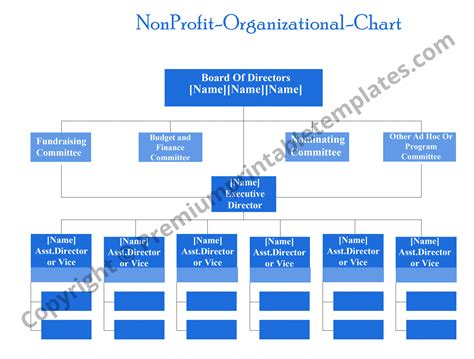 Non Profit Organizational Chart Examples