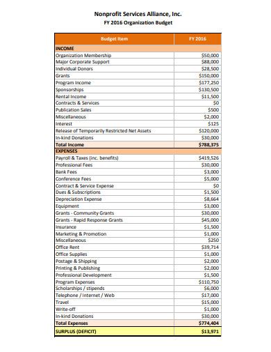 Nonprofit Budget Template Examples