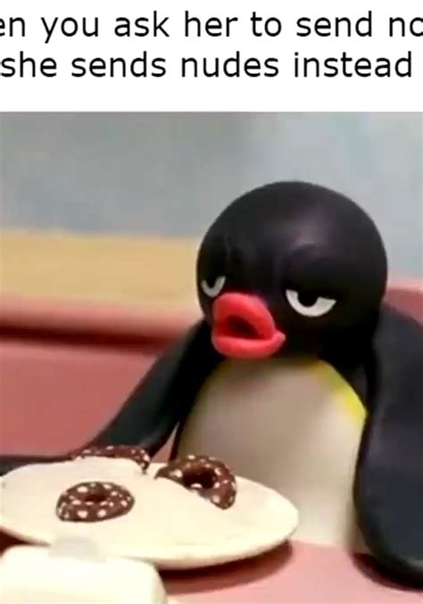 Noot Noot Meme Template